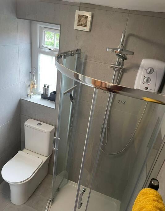 Netherton Studio Apartment 2 Rhôs-on-Sea المظهر الخارجي الصورة